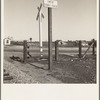 Near Fresno, California. Migrants' tents are a common sight along the right of way of the Southern Pacific