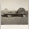 Kern County, California. Supply of fertilizer and potato seed on edge of field in which mechanical potato planter is operating