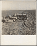 Kern County, California. Large-scale mechanized farming. The potato planter, operated by a crew of three men, makes the rows, fertilizes and plants potatoes in one operation