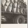 Kern County, California. Truck loaded with potato seed