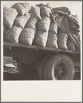 Kern County, California. Truck loaded with potato seed