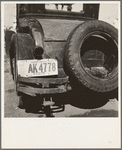 Temporary auto license. A common sight in migratory labor camps. Many enter California after cotton picking in Arizona without sufficient money to buy license plates. California