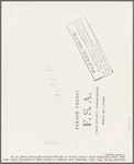 Temporary auto license. A common sight in migratory labor camps. Many enter California after cotton picking in Arizona without sufficient money to buy license plates. California