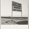 Kern County, California. Sign on U.S. 99 main highway between Los Angeles and San Francisco