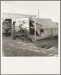 Pergola, cupboard, and tent platform are standard equipment of Farm Security Administration (FSA) migratory labor camp. Brawley, Imperial County, California