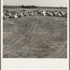 Calipatria, Imperial Valley. Feb. 1939. F.S.A. migratory labor camp (emergency)