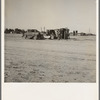 Housing of migratory field workers (Mexican) across road from Farm Security Administration camp (FSA). Near Calipatria, Imperial Valley, California