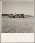 Housing of migratory field workers (Mexican) across road from Farm Security Administration camp (FSA). Near Calipatria, Imperial Valley, California