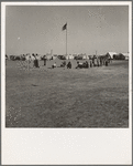 Marble time in Farm Security Administration (FSA) migratory labor camp (emergency.) Plenty of space to play and plenty of companions for the children during pea harvest. Near Calipatria, Imperial Valley, California