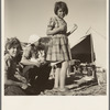 Part of family arrived the night before from Rockwell, Texas. Picked their way across the country. Encamped on the river bottom. Near Holtville. Imperial Valley, California