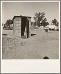 Sanitary facilities in camp of carrot pullers. Near Holtville, Imperial Valley, California