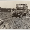Loading carrots in the field near Holtville, California.
