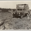 Loading carrots in the field near Holtville, California