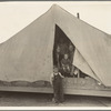 Brawley, Imperial Valley. In Farm Security Administration (FSA) migratory labor camp. Family of mother, father and eleven children, originally from near Mangrum, Oklahoma, where he had been tenant farmer