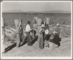 Open air food factory. Weighing in the peas near Calipatria, California