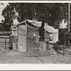 House in camp of carrot pullers. Near Holtville. Imperial Valley, California