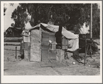 House in camp of carrot pullers. Near Holtville. Imperial Valley, California