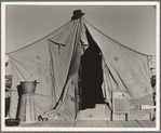 One of a row of tents, home of a pea picker. Near Calipatria, Imperial Valley, California
