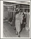 Near Shafter, California. Family from Oklahoma lives in old cow-barn and picks cotton for seventy-five cents a 100 pounds. During cotton strike