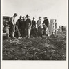 Migratory field workers at 5 a.m. waiting in the carrot field to hold a place to work, which starts at 8 a.m.