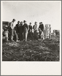 Migratory field workers at 5 a.m. waiting in the carrot field to hold a place to work, which starts at 8 a.m.