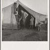 Supper time in Farm Security Administration (FSA) migratory emergency camp for workers in the pea fields. Calipatria, California