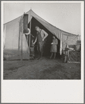 Supper time in Farm Security Administration (FSA) migratory emergency camp for workers in the pea fields. Calipatria, California