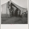 Supper time in Farm Security Administration (FSA) migratory emergency camp for workers in the pea fields. Calipatria, California