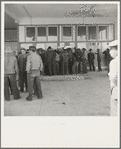 Outside Farm Security Administration (FSA) grant office during the pea harvest. Calipatria, California. During the spring of 1938, for the first time the labor surplus had grown so large that relief grants were necessary even during the peak of harvest