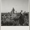Carrot digger. Imperial Valley, near Meloland, California