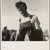 Straw boss of pea packers in the field near Calipatria, Imperial Valley, California