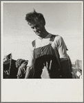 Straw boss of pea packers in the field near Calipatria, Imperial Valley, California