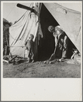 In a carrot pullers' camp near Holtville, California