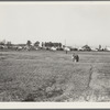 Farm Security Administration (FSA) migratory labor camp. Brawley, California. Plenty of space for children to play is provided