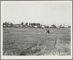 Farm Security Administration (FSA) migratory labor camp. Brawley, California. Plenty of space for children to play is provided