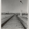 Looking east down the railroad track, near Calipatria, California. Single men, itinerants with "bindles" waiting for the freight