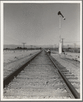 Looking east down the railroad track, near Calipatria, California. Single men, itinerants with "bindles" waiting for the freight