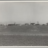 Outskirts of Salinas, California. Shacks occupied by lettuce shed workers, many from Oklahoma