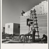 Father and son, recent migrants to California, building house in rapidly growing settlement of lettuce workers on fringe of town. Salinas, California