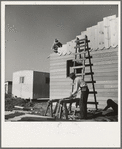 Father and son, recent migrants to California, building house in rapidly growing settlement of lettuce workers on fringe of town. Salinas, California