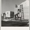 Father and son building house on outskirts of Salinas, California. Settlement of recently migrated lettuce workers