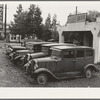 Roadside used car display on State Highway 17, in season when migrants come into region for pea-picking. Santa Clara County, California