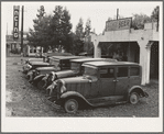 Roadside used car display on State Highway 17, in season when migrants come into region for pea-picking. Santa Clara County, California