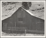Barn in a valley back of Mission San Jose. Santa Clara County, California