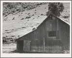 Barn in a valley back of Mission San Jose. Santa Clara County, California