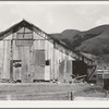 Farmyard of small Italian farmer. Santa Clara County, California