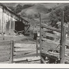 Farmyard of small Italian farmer. Santa Clara County, California