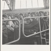 Student audience listening to Peace Day address of General Smedley Butler. Berkeley, California, University of California