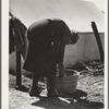 A grandmother washing clothes in a migrant camp. Stanislaus County, California