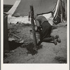 A grandmother washing clothes in California. In a contractor's camp near Westley, California